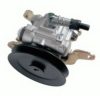 NISSA 491102F600 Hydraulic Pump, steering system